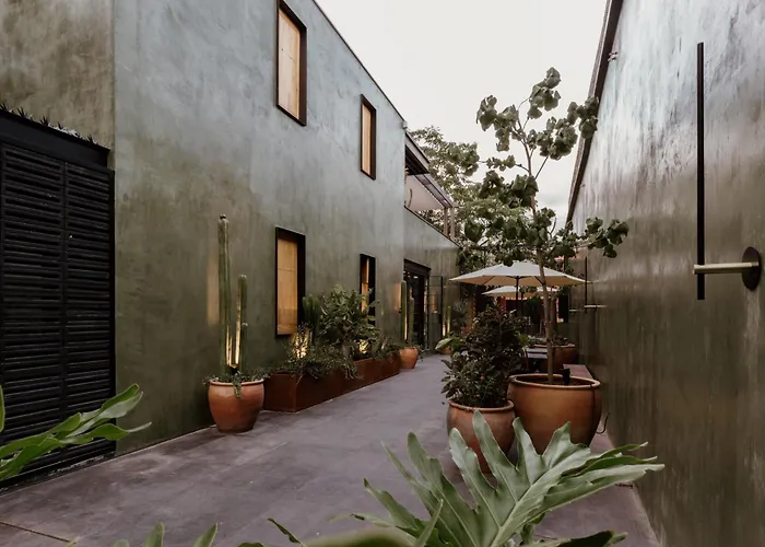 Majagua Hotel Boutique -Adults Only